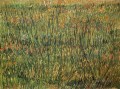 Pasto en flor Vincent van Gogh
